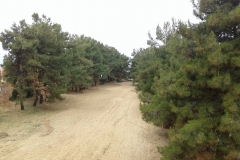 agroktima_5